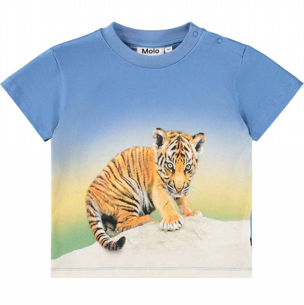 NEW MOLO boys enzo tee in tiger cub